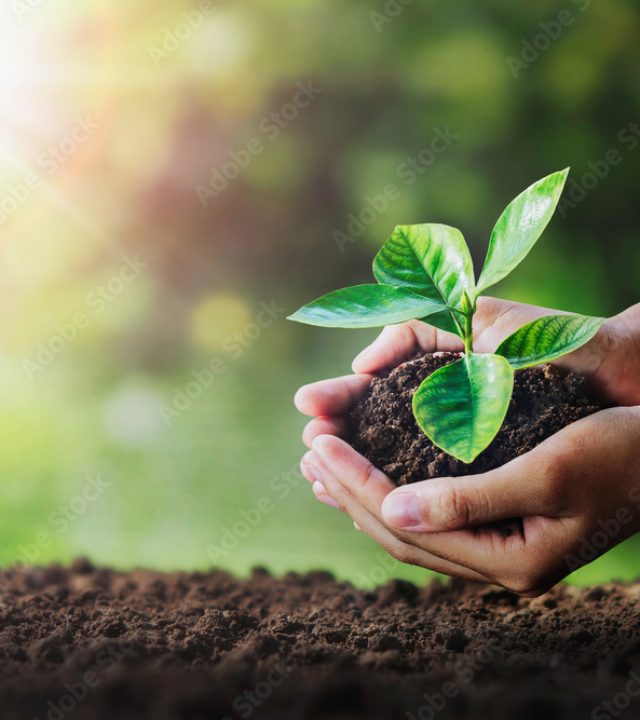 sustainability & safety pic